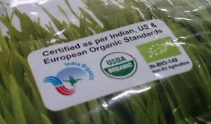wheatgrass certificate ของ อเมริกาและยุโรป รวมถึง อินเดียด้วย